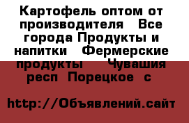 Картофель оптом от производителя - Все города Продукты и напитки » Фермерские продукты   . Чувашия респ.,Порецкое. с.